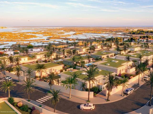 Loja venda em Vale das Almas, Faro