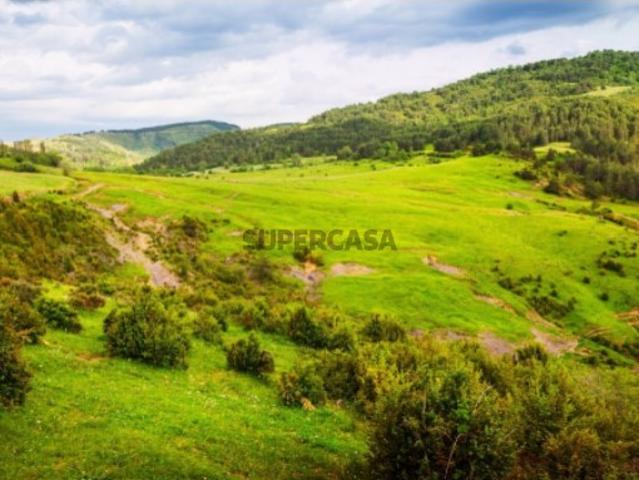 Armazém venda em Vale de Santarém, Santarém