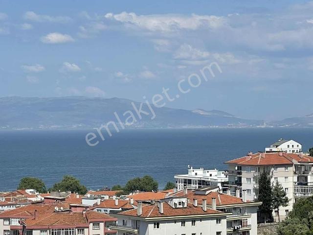 Mudanya, Bursa içerisinde kiralık mülk