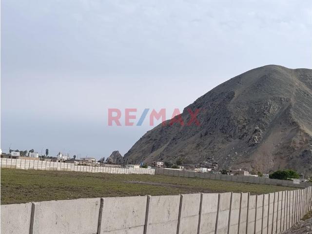 Terreno alquiler en Canete, Lima Metropolitana