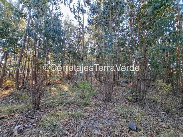 Casa en venta en Angol, La Araucanía