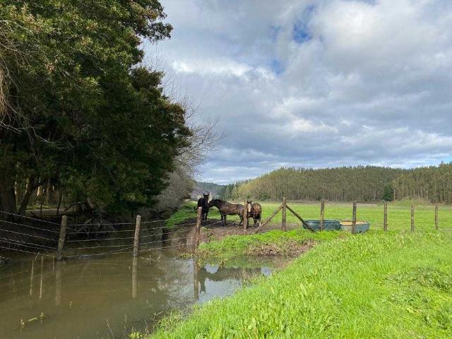 Casa en venta en Arauco, Biobío