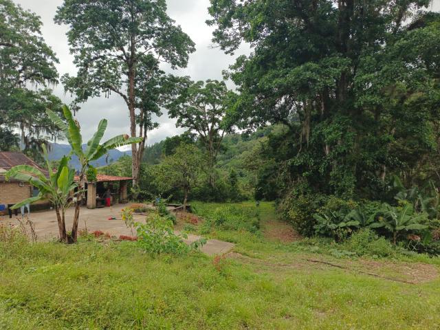 Propiedad en venta en Maturin, Monagas