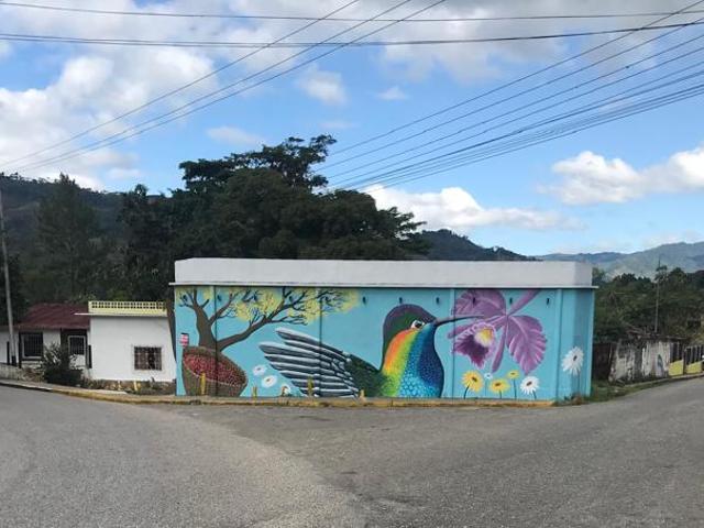 Terreno en venta en Caripe, Monagas