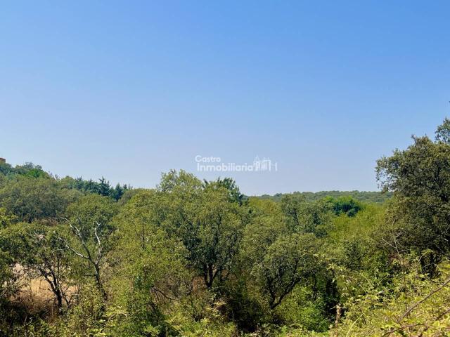 Terreno en venta en San Román De Los Montes, Castilla-La Mancha