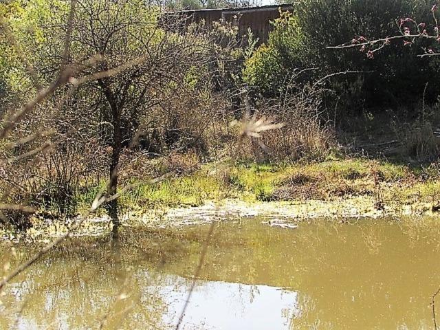 Casa en venta en Cauquenes, Maule
