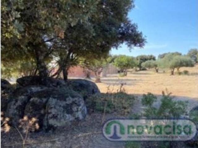 Local Comercial en venta en Cenicientos
