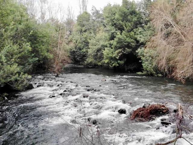 Casa en venta en Ñuble