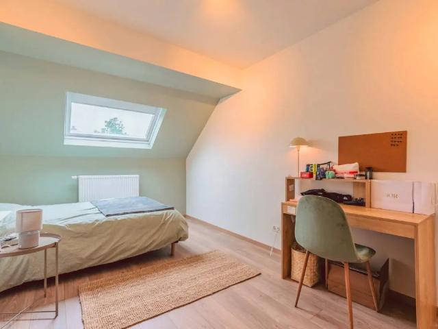 Kamer location à Quartier de l’Aulne - Elswijk, Ixelles - Elsene