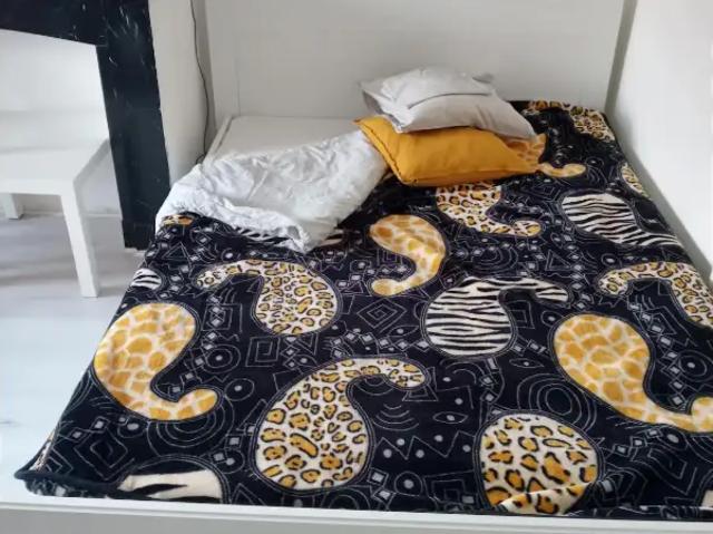 Kamer location à Elsene, Bruxelles