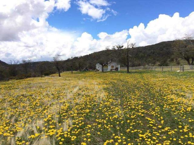 Casa en venta en Coyhaique, Capital, Aysén Del General Carlos Ibáñez Del Campo