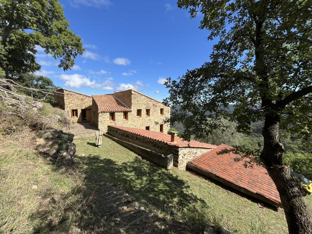 Ferme vente à Céret, Montbolo