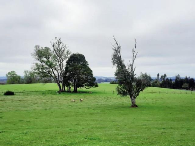 Casa en venta en Fresia, Los Lagos