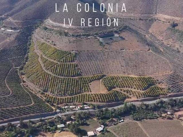 en ILLAPEL