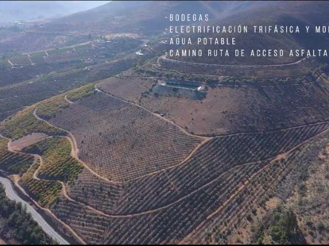 en ILLAPEL
