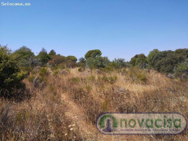 Local Comercial en venta en Almorox, Castilla-La Mancha
