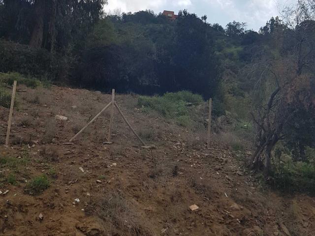en LO BARNECHEA