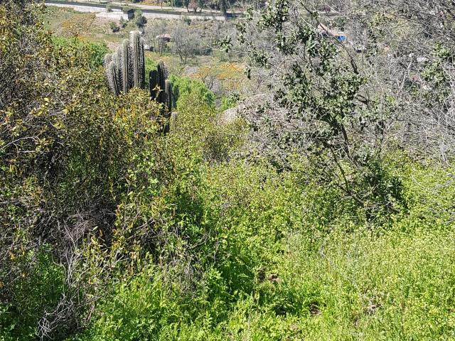 en LO BARNECHEA