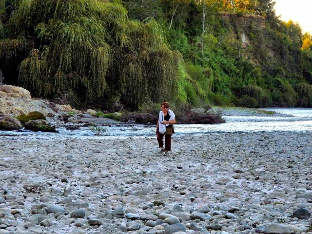 en LOS LAGOS