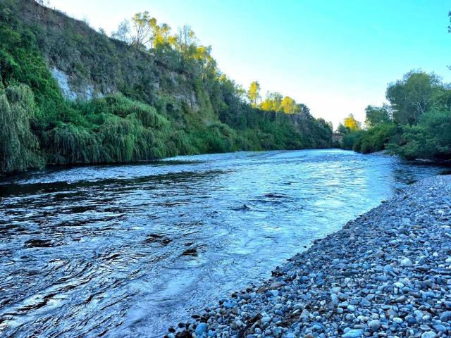 en LOS LAGOS