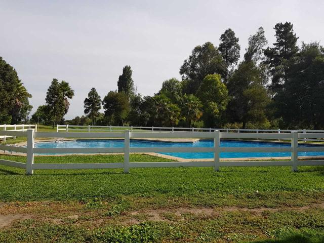 en MOSTAZAL