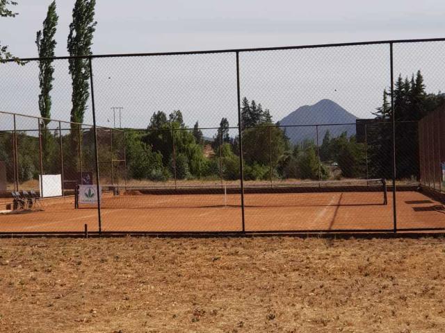 en MOSTAZAL