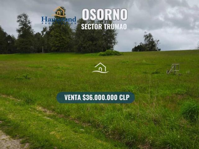 en OSORNO