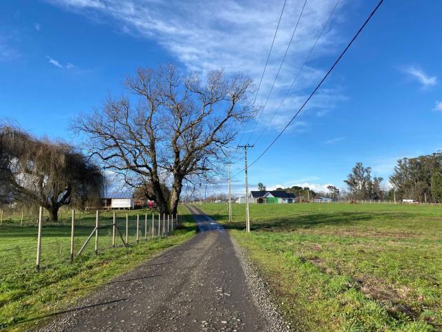 en OSORNO