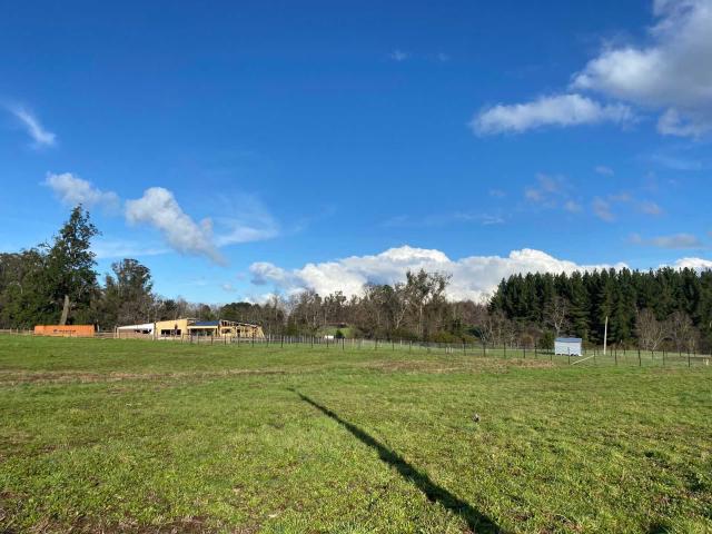 en OSORNO