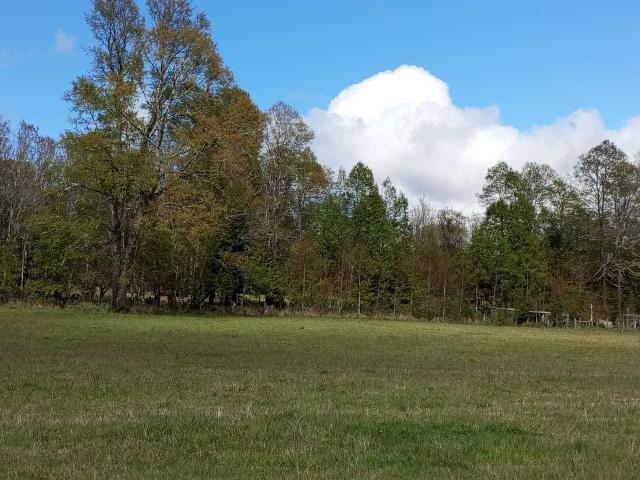 Casa en venta en Panguipulli, Los Ríos