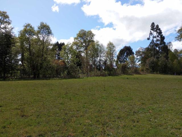 en PANGUIPULLI