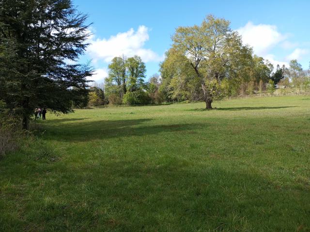 en PANGUIPULLI