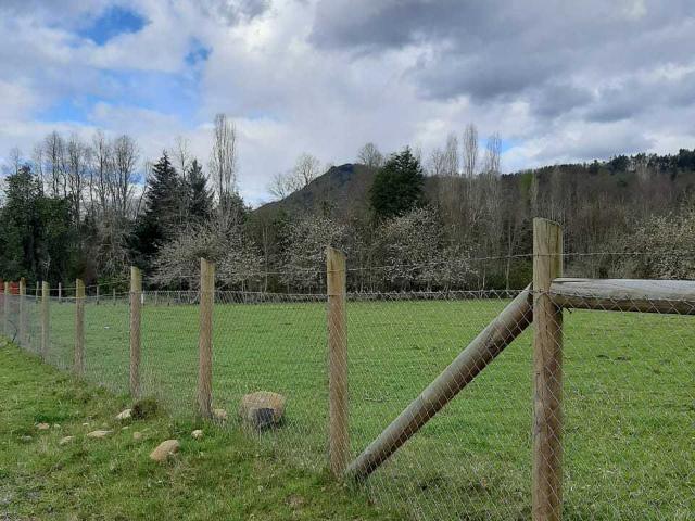 en PANGUIPULLI