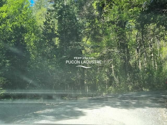 en PANGUIPULLI