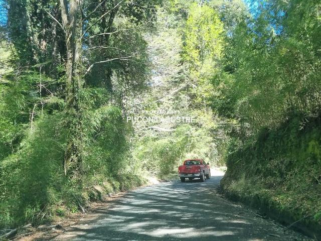 en PANGUIPULLI