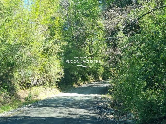 en PANGUIPULLI