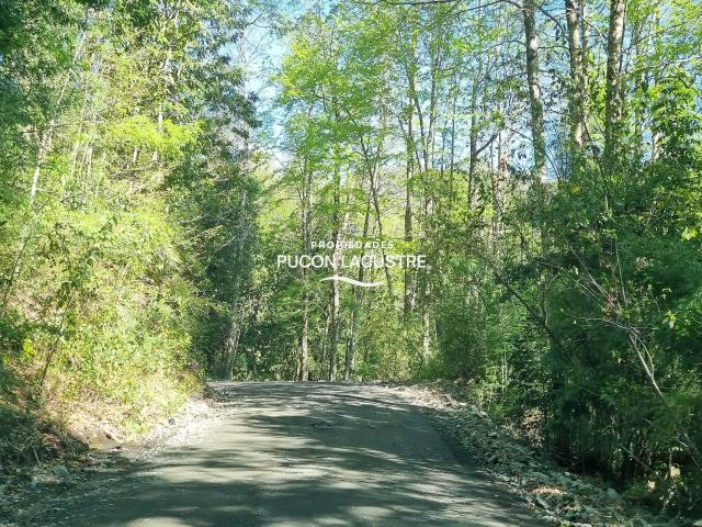 en PANGUIPULLI