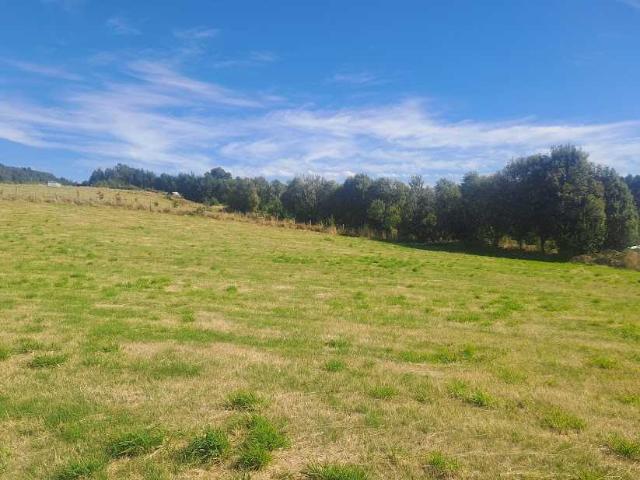 en PANGUIPULLI