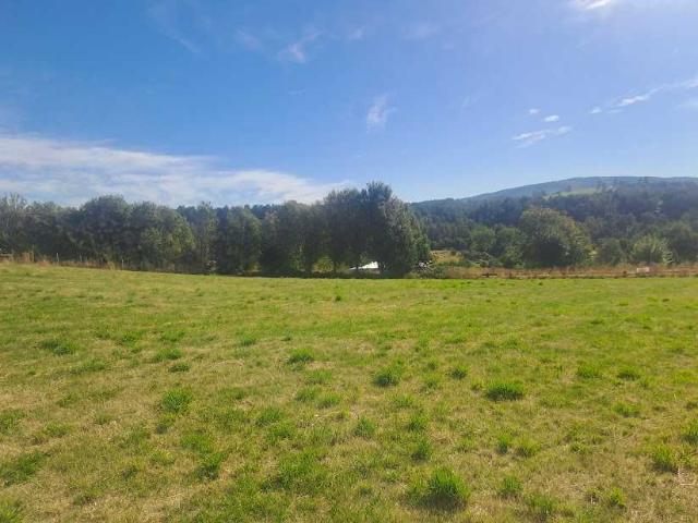 en PANGUIPULLI