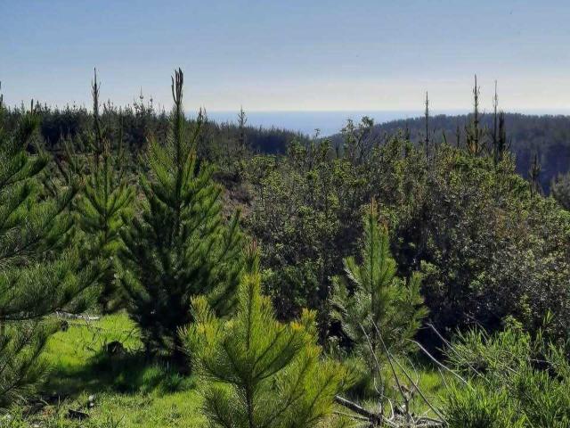 Casa en venta en Pichilemu, Libertador General Bernardo O'higgins