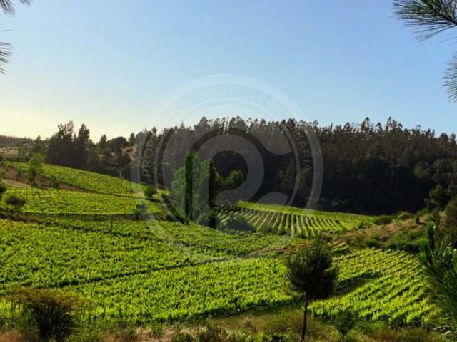 Casa en venta en Ñipanto, Portezuelo