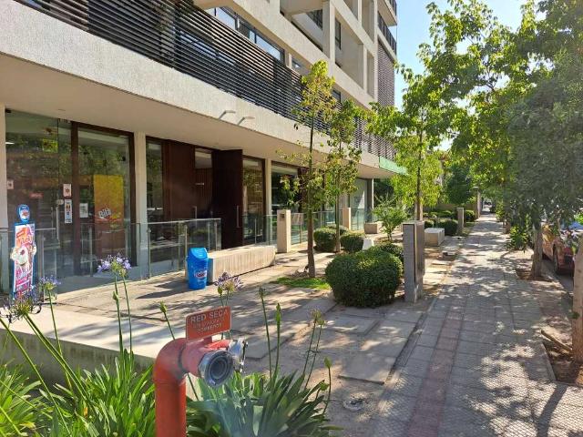 en PROVIDENCIA