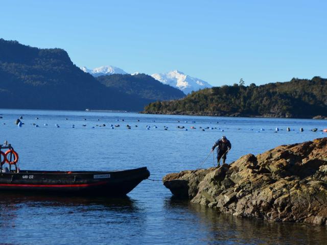en PUERTO MONTT