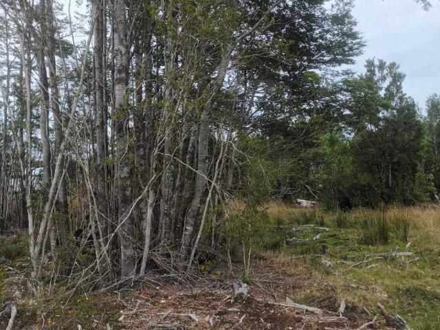 Casa en venta en Quemchi, Los Lagos