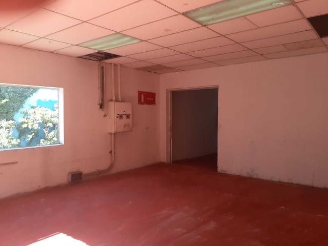 en RENCA