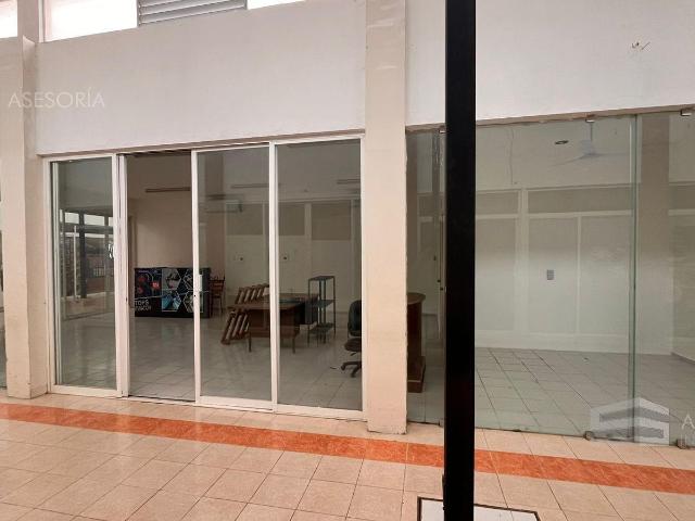 Terreno en renta en Motul, Yucatán