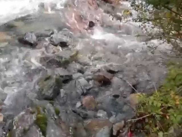 en RÍO IBAÑEZ