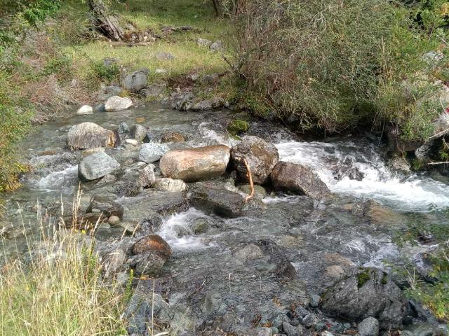 en RÍO IBAÑEZ