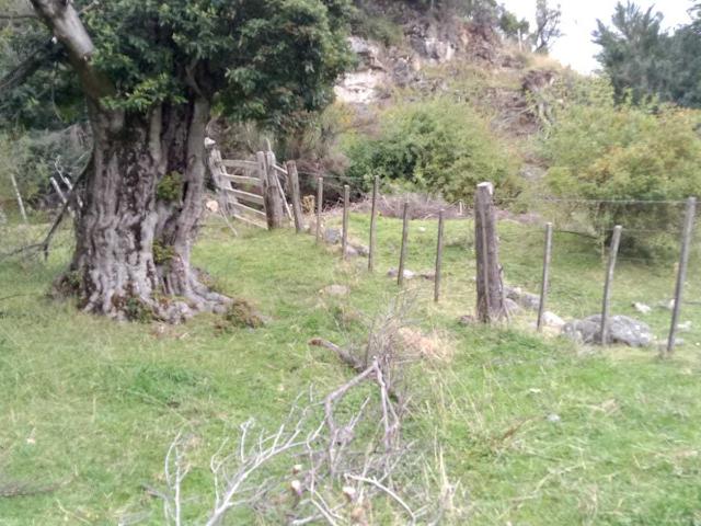 en RÍO IBAÑEZ
