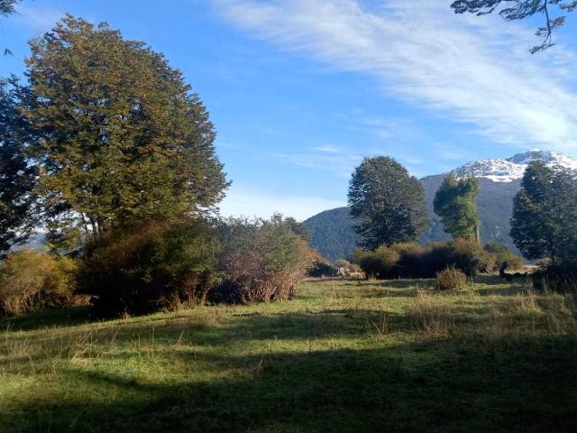 en RÍO IBAÑEZ